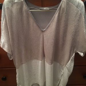 Zara Shiny Blouse